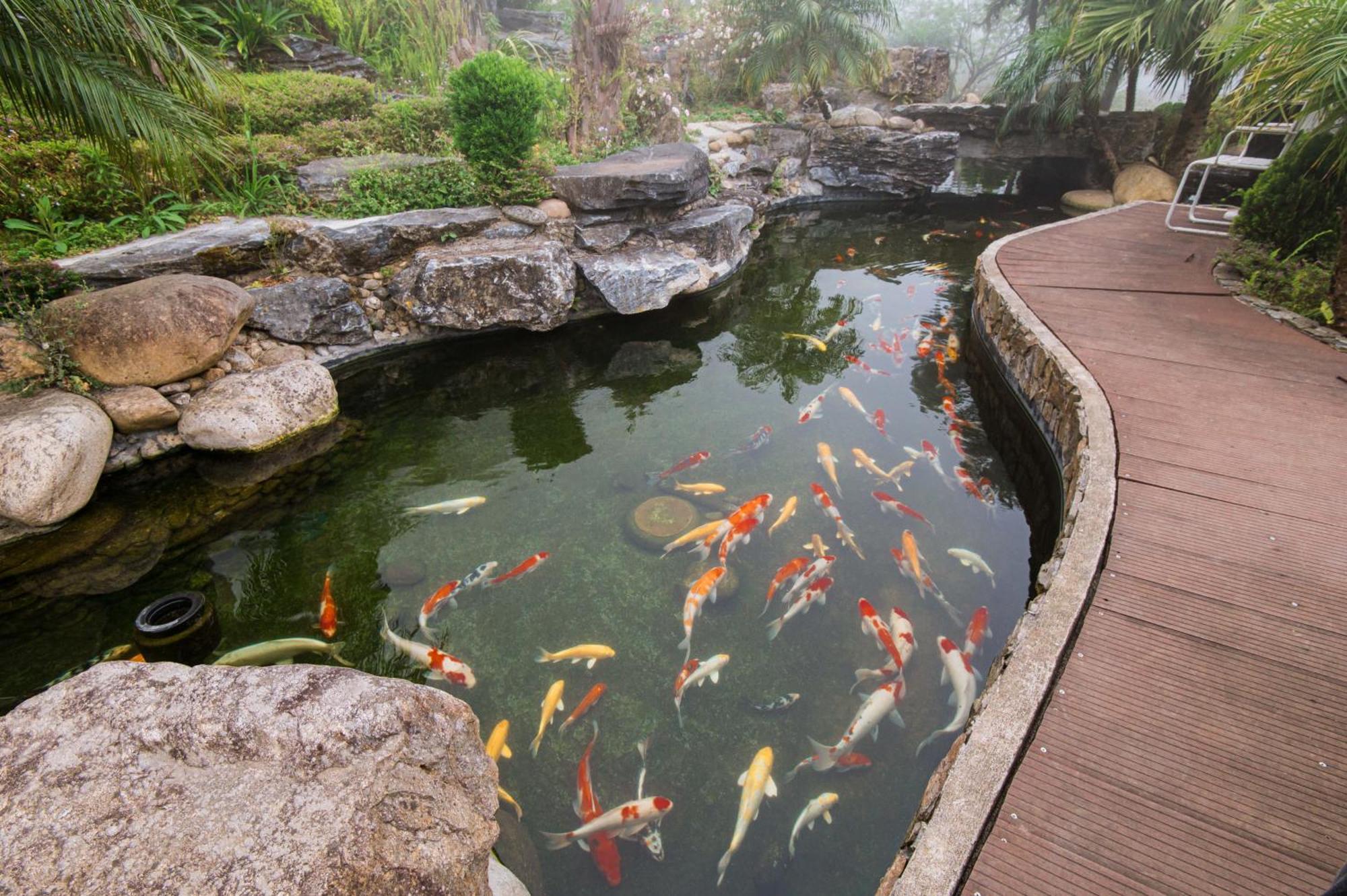 Sapa Catcat Hills Resort & Spa Esterno foto